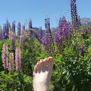 Meet your Posher, Janet